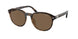 Polo 4207U Sunglasses