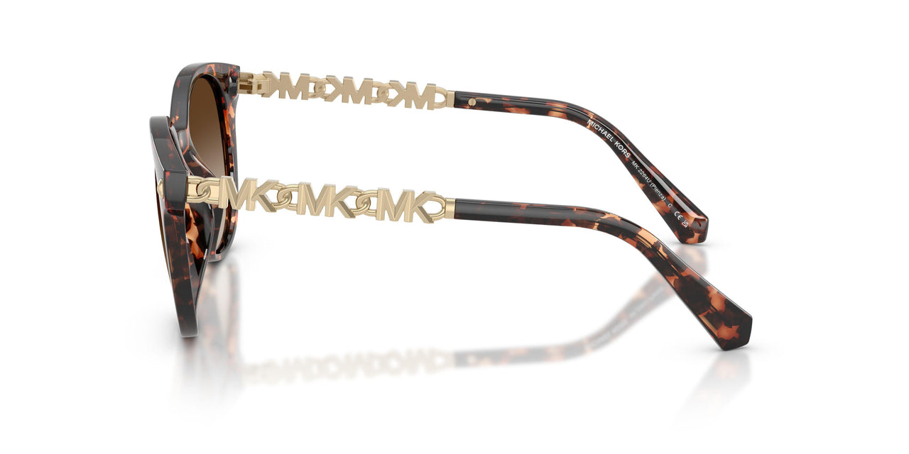 300613 - Tortoise - Smoke Gradient