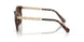 300613 - Tortoise - Smoke Gradient