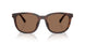512073 - Tortoise - Brown Solid