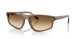 664051 - Brown - Clear Gradient Brown
