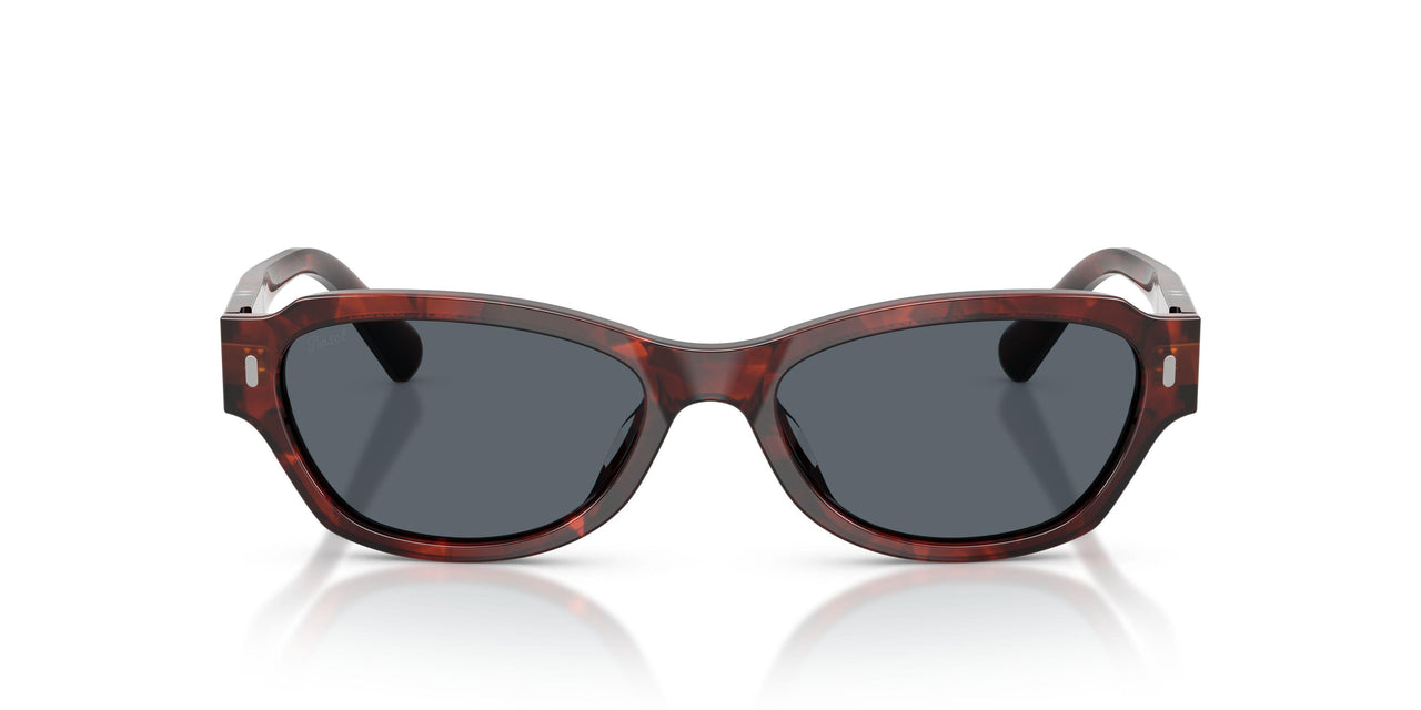 1242R5 - Havana - Blue