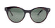 C3 - C3 Tortoise