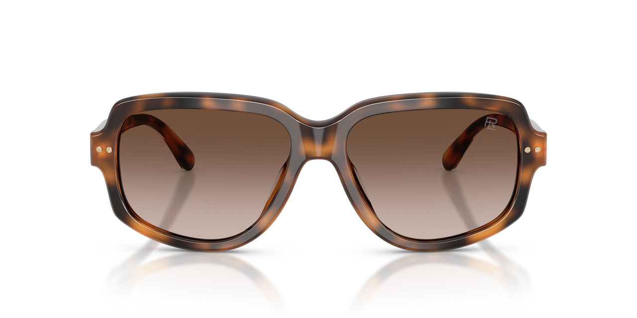 608913 - Tortoise - Gradient Brown