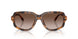 608913 - Tortoise - Gradient Brown