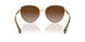 900413 - Gold - Gradient Brown