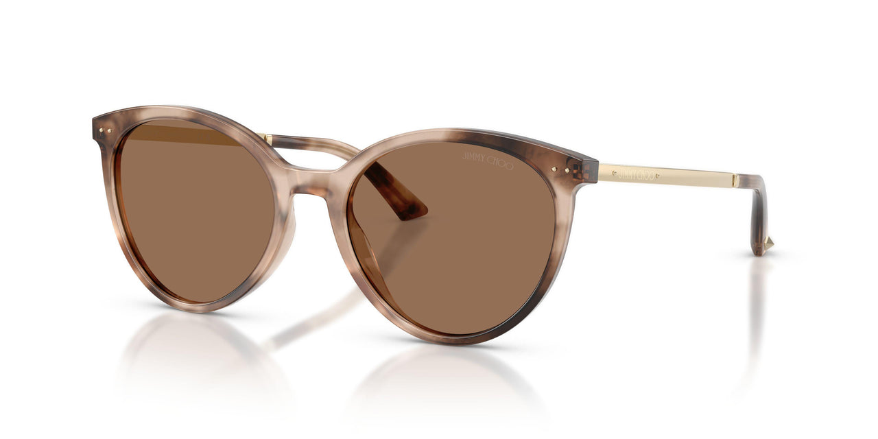 509773 - Tortoise - Dark Brown