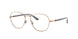 Ray-Ban 6470 Eyeglasses