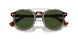 613771 - Tortoise - Bottle Green