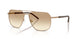 612913 - Brown - Brown Gradient