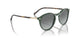 309211 - Green - Grey Gradient