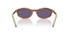 25O70W - Brown - Violet