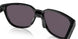 925001 - Black - Prizm Grey