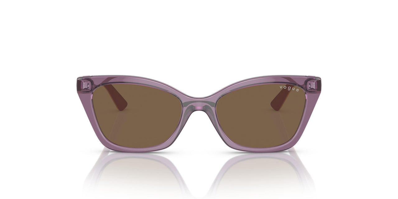 306473 - Transparent Violet - Dark Brown