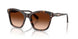 100274 - Tortoise - Gradient Brown