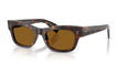 100953 - Tortoise - True Brown