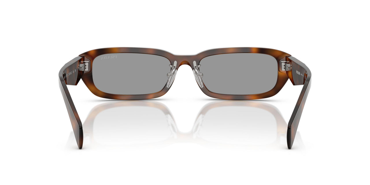 20D50Q - Havana - Grey