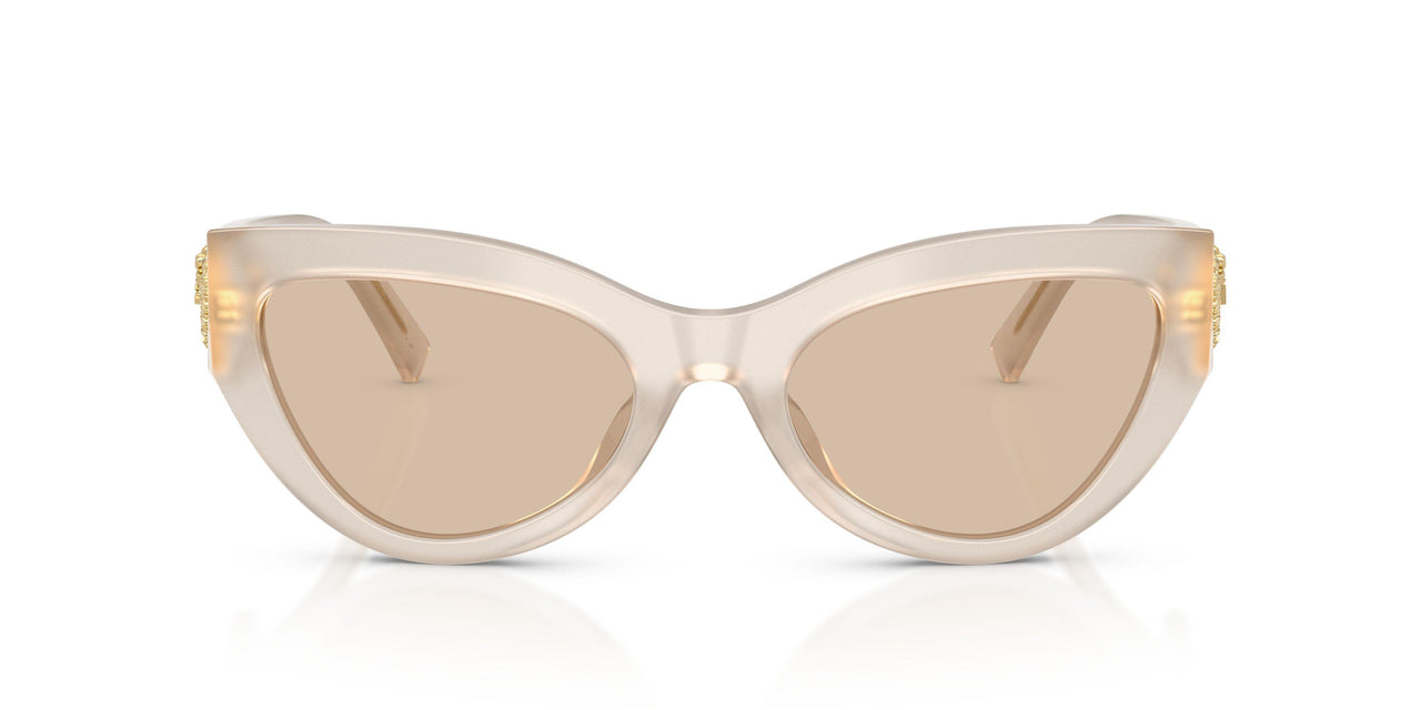 342093 - Ivory - Light Brown