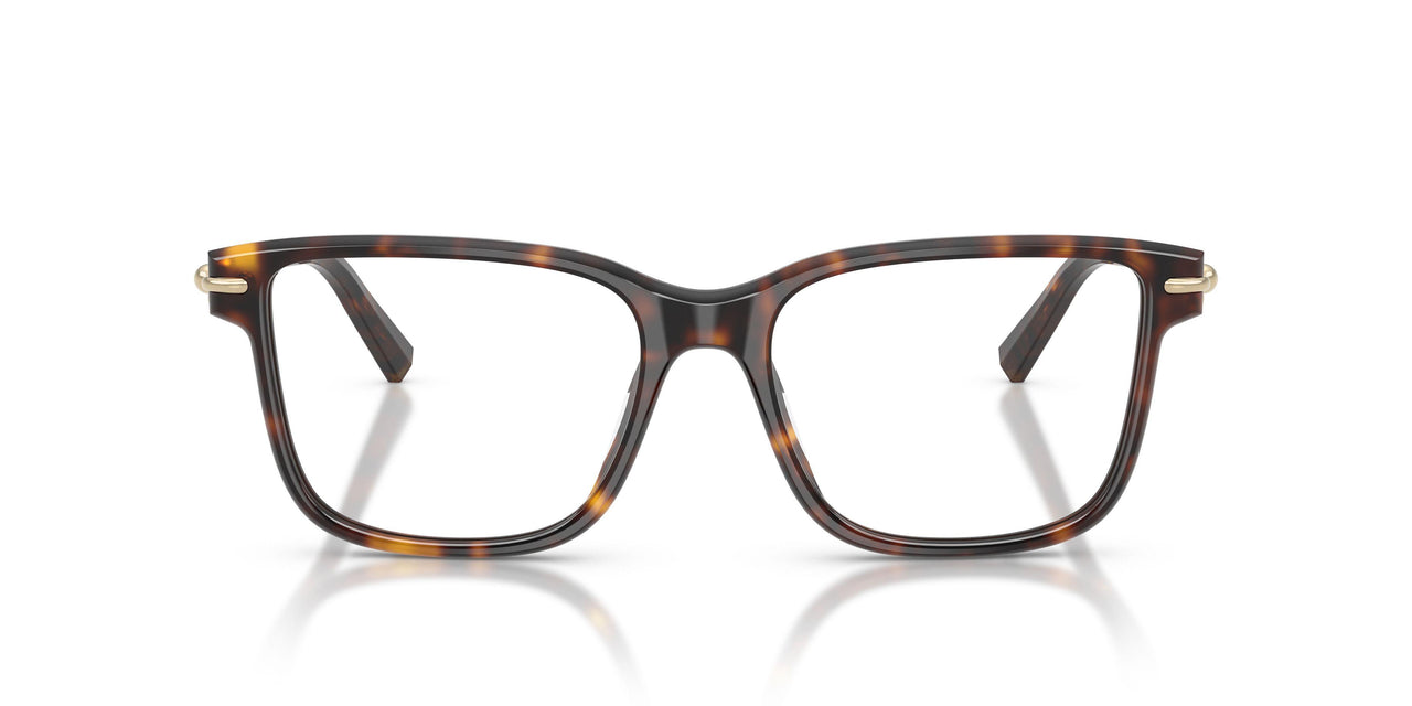 8015 - Tortoise