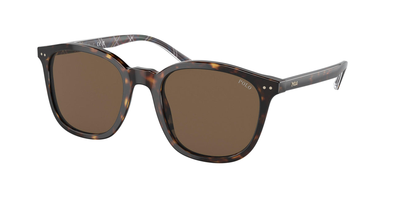 Polo 4188F Sunglasses