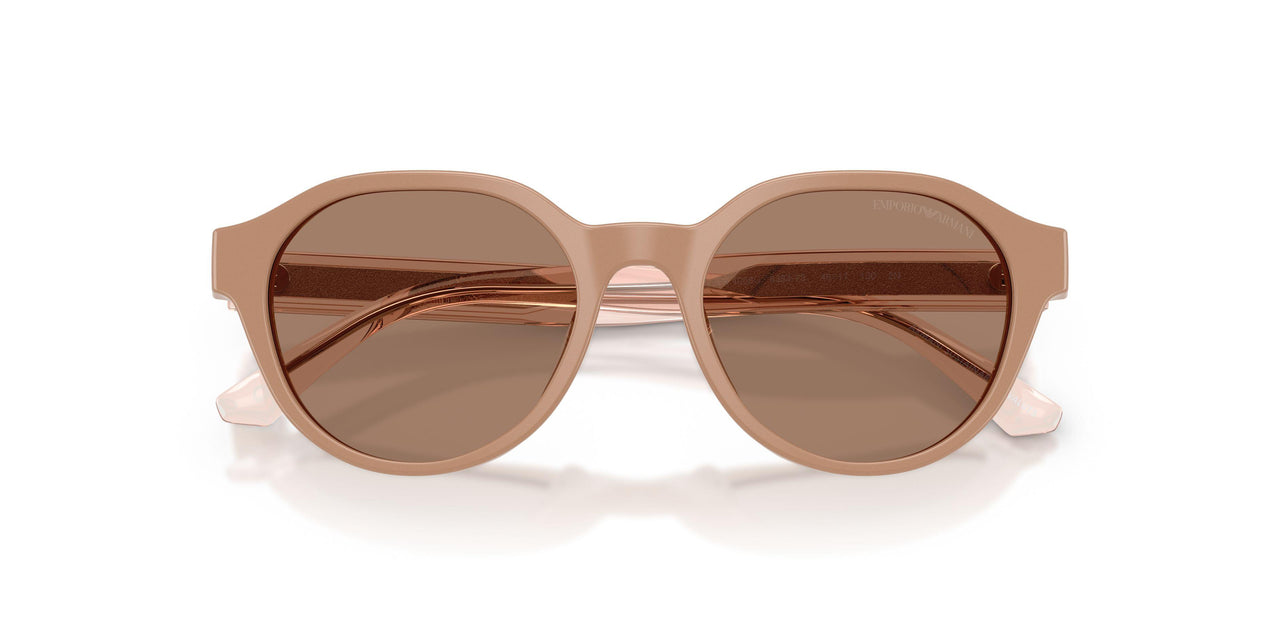 638473 - Brown - Dark Brown
