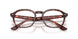 8488 - Tortoise - Clear