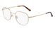 Flexon H6076 N Eyeglasses