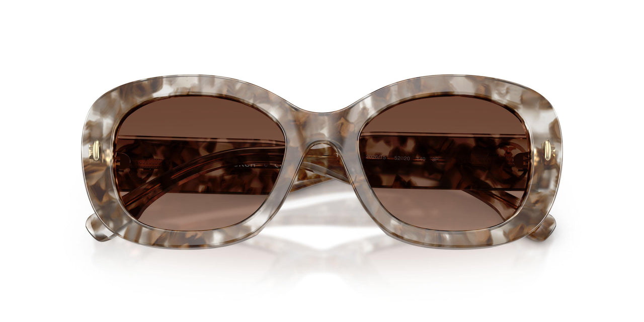 2026T5 - Brown - Polar Light Brown Gradient