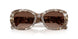 2026T5 - Brown - Polar Light Brown Gradient