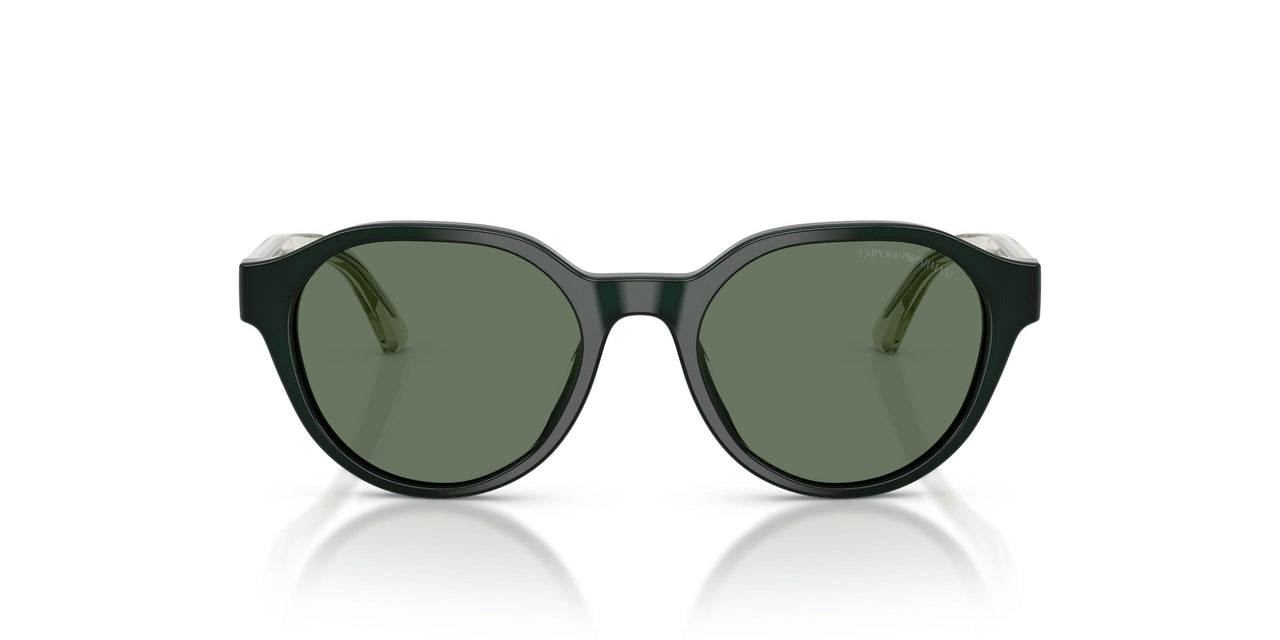 638182 - Green - Dark Green