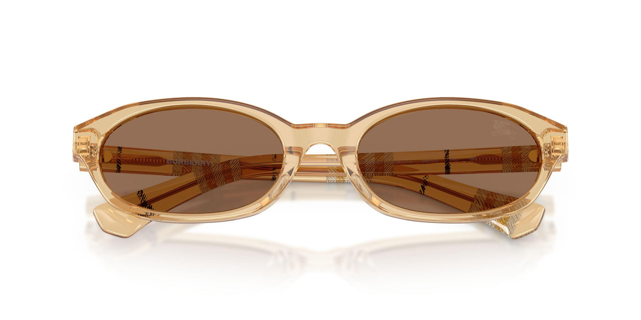 416773 - Yellow - Dark Brown