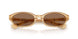 416773 - Yellow - Dark Brown