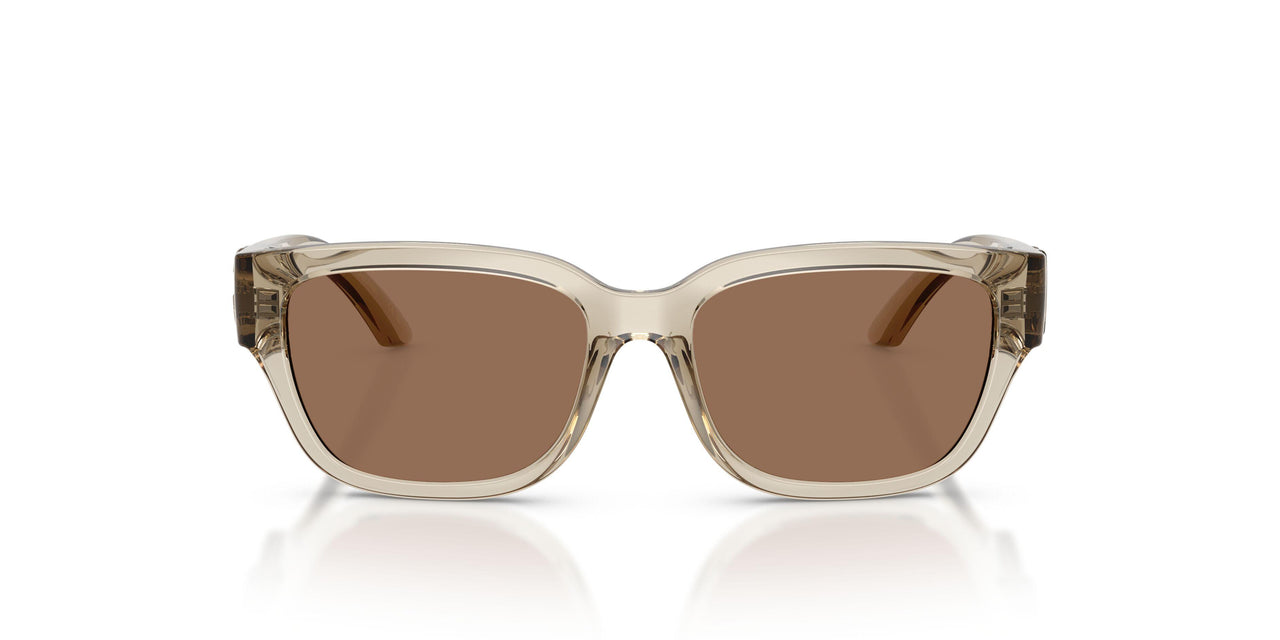 329173 - Brown - Dark Brown