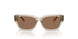 329173 - Brown - Dark Brown