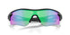 920602 - Matte White - Slate Iridium