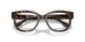 1964 - Tortoise