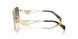 ZVN50C - Gold - Brown Gradient Grey