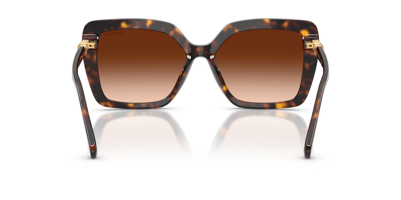 100274 - Tortoise - Gradient Brown