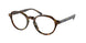 Polo 2251U Eyeglasses