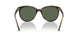 W65671 - Havana - Dark Green