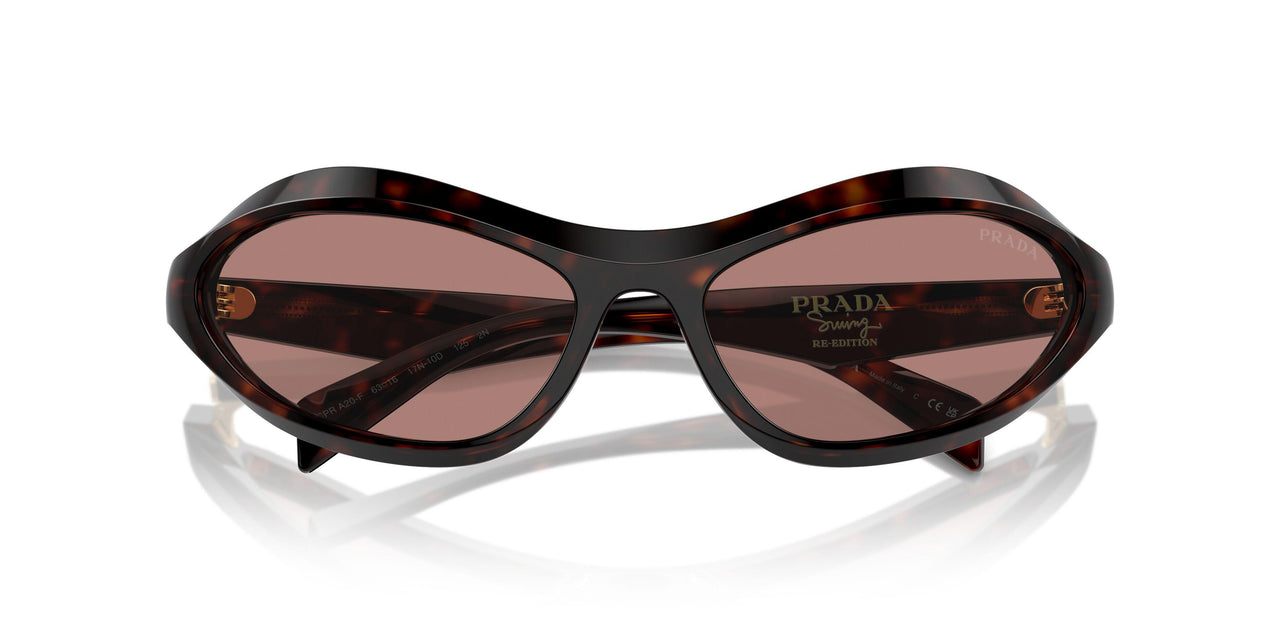 17N10D - Tortoise - Light Brown