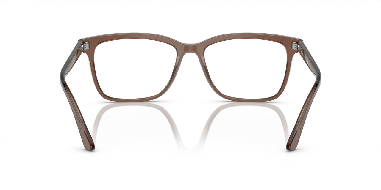 17O1O1 - Brown