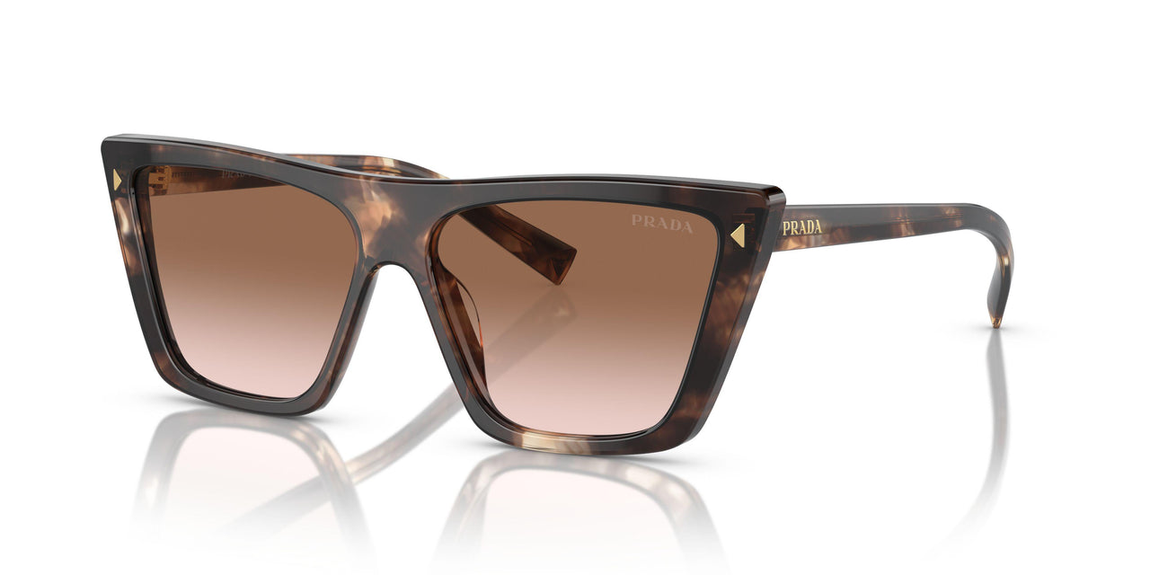 07R0A6 - Tortoise - Brown Gradient