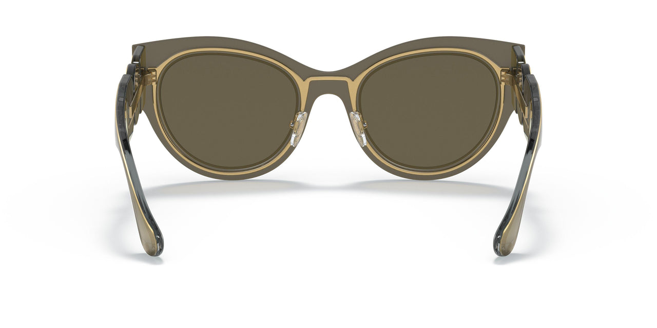 1002/3 - Brown - Brown