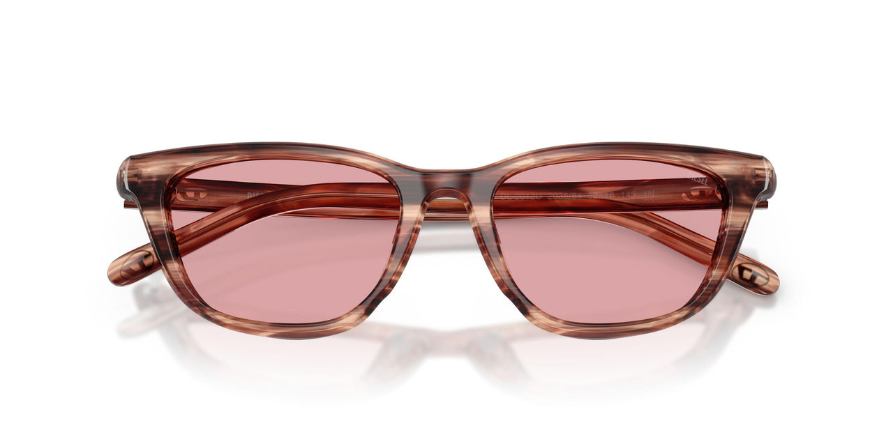 203684 - Brown - Light Violet