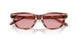 203684 - Brown - Light Violet