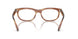 8399 - Tortoise - Clear