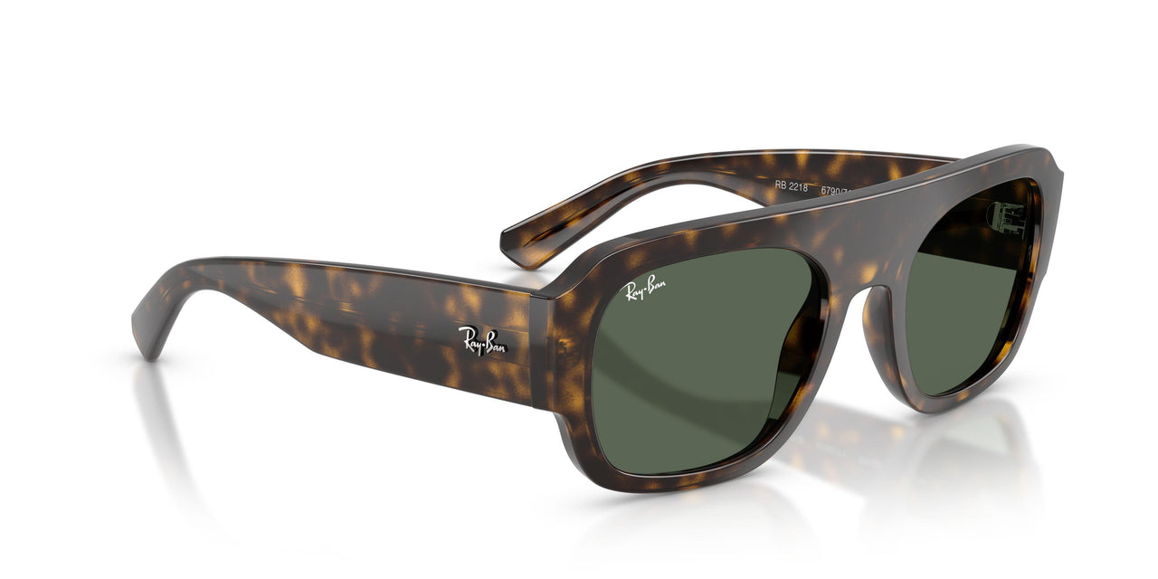 679071 - Tortoise - Green