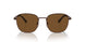 114857 - Brown - Polar Brown