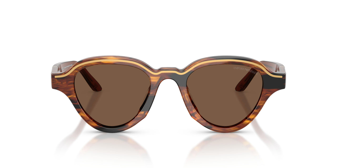 633973 - Brown - Brown